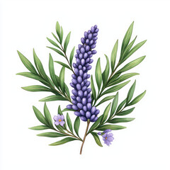 Beautiful watercolor of purple flowers and green leaves, showcasing nature elegance and tranquility