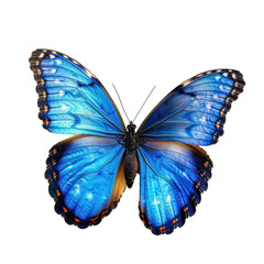 Obraz premium Vibrant Blue Butterfly with Detailed Wing Pattern Isolated on Transparent or White Background, PNG