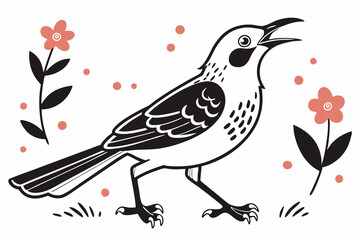 Galapagos Mockingbird bird jumps vector kawaii black silhouette color and white background