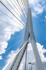 Erasmusbrug in Rotterdam from above