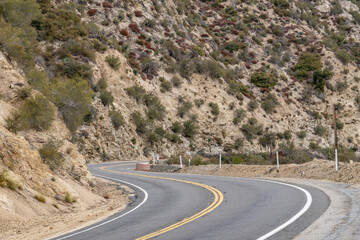 Granitic Rocks / Leucocratic Plutonic Rocks. intrusive / dikes. sheared and stained brown from iron oxides.( grdb ）. Angeles Crest Scenic Byway, Los Angeles County, California. San Gabriel Mountains.