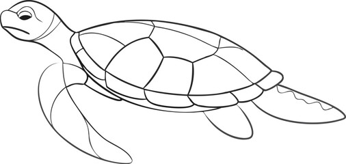 continuous single line drawing of sea turtle, line art vector illustration