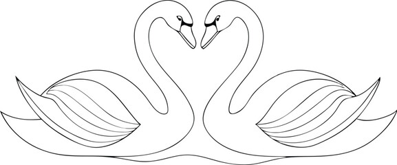 Couple swans line art style vector illustration. Couple of romantic birds for wedding invitation design