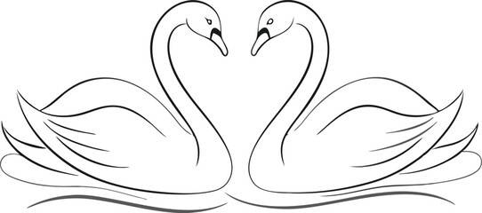Couple swans line art style vector illustration. Couple of romantic birds for wedding invitation design