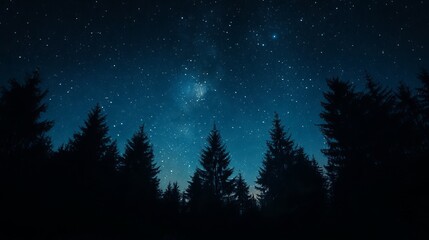Fototapeta premium starry night, cosmic wonder, galactic skies, starlit horizon