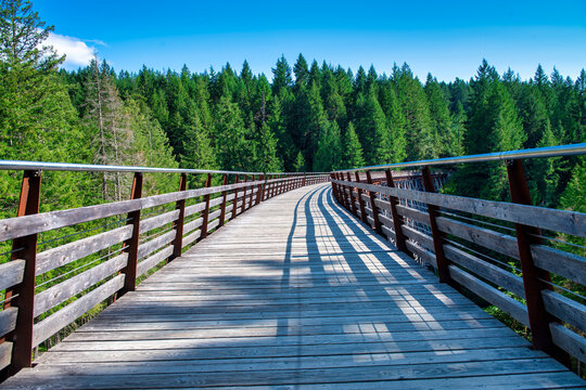 Amazing view of Kinsol Trestle Bridge in Vancouver Island - Canada - Powered by Adobe