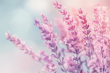 Obraz premium Pastel Abstract Background with Soft Floral Textures for Elegant Spring Advertising