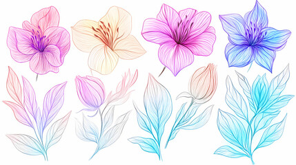 Whimsical pastel floral doodles in line art style, available as a png with a clear background. Floral. Illustration