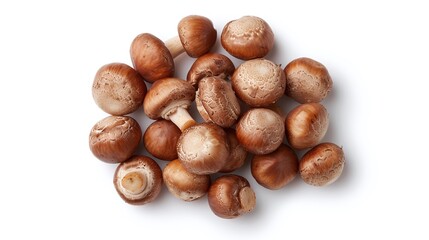 Fototapeta premium Cremini Mushrooms on White Background, Fresh Agaricus Bisporus, Raw Ingredient, Food Photography, Copy Space for Text or Design, Horizontal Format.