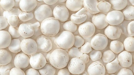 A close-up, full-frame view of a heap of fresh whole champignons, their smooth, white caps creating a natural, textured background of button mushrooms.