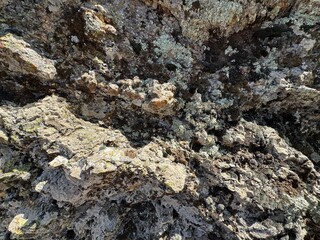 Mountain rock moss texture close-up background. Gray, black dark brown stone rock granite basalt texture background. Mountains surface. Close-up. Cracked broken crumbled. Mossy rock texture.

