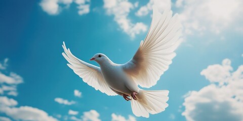 Obraz premium Elegant Dove Soaring Through a Clear Sky