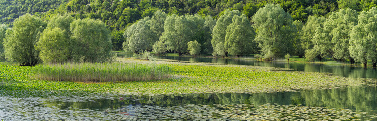 Au am Fluss Rijeka Crnojevića, Skadar See, Montenegro