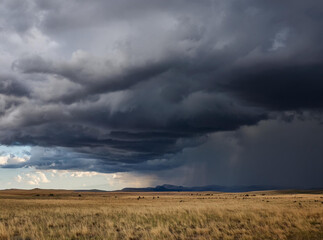Fototapeta premium A stormy sky looming over a wide rolling plain.