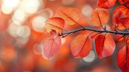 Obraz premium A branch of a tree with red leaves on it