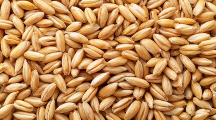 A close up of a pile of wheat grains