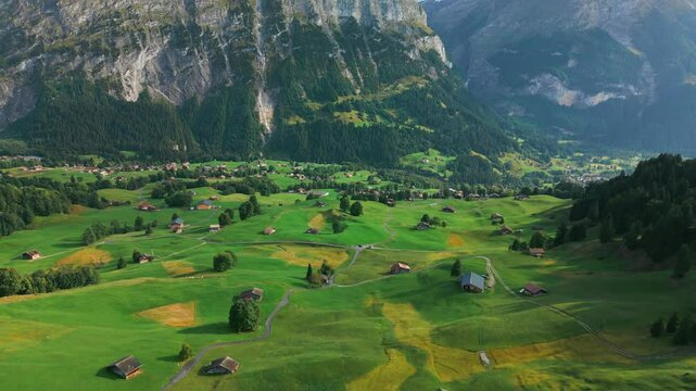 Zoom Out Meadow and Mountains in Switzerland