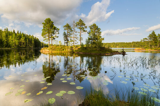 See im Glaskogen Naturreservat, V&auml;rmlands L&auml;n, Schweden