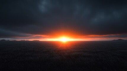 Fototapeta premium A sun is setting over a field of grass
