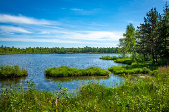 Walking trip through the bigest natural moor, Wurzacher Ried, South Germany