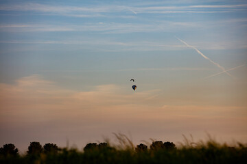 Sunrise or sunset view of a hot air balloon and bird in a partly cloudy sky over a field.  Tranquil scene.