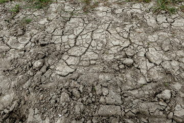 Image shows severely cracked, dry earth.  Sparse vegetation struggles to survive.  Drought evident.