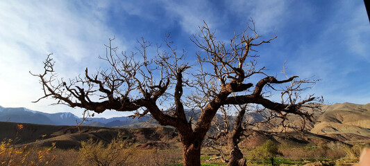 Majestic Atlas Mountains of Morocco