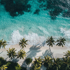 Tropical Paradise:  A serene aerial view captures the idyllic beauty of a pristine beach, with lush palm trees swaying gently against a backdrop of turquoise waters.