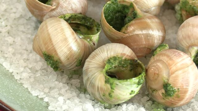 douzaine d'escargots, en gros plan, dans une assiette