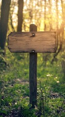 A wooden sign is standing in a field of grass. The sign is empty and has no writing on it