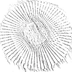 Obraz premium Circular texture. Distressed uneven grunge background. Abstract vector illustration. Overlay to create interesting effect and depth. Isolated on white background.EPS10.