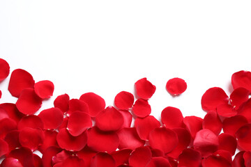 Fresh red rose petals on white background, top view