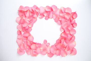 Frame made of pink rose petals on white background, top view