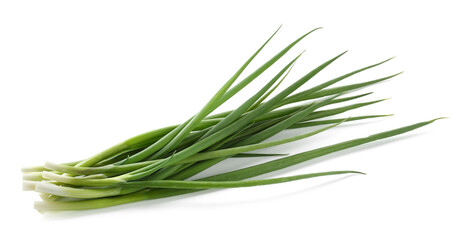Fototapeta premium Many fresh green onions isolated on white
