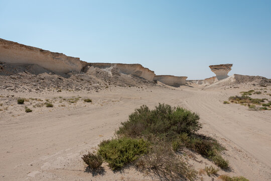 Natural Parkland in Qatar, desert Zekreet, spring season,