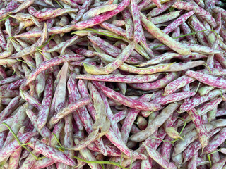 Green beans vegetable, top view background. Large amount of green beans in pods on market stall. Fresh green beans at farmers market in Greece. Healthy, vegetarian food.
