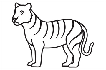 Illustration of a tiger Vector
