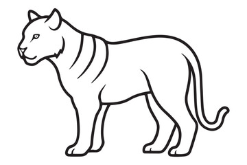 Illustration of a tiger Vector