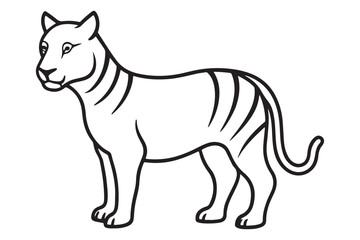 Illustration of a tiger Vector
