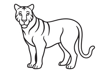 Illustration of a tiger Vector