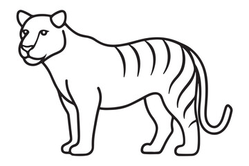 Illustration of a tiger Vector