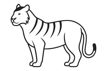 Illustration of a tiger Vector