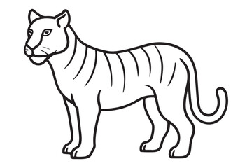 Illustration of a tiger Vector