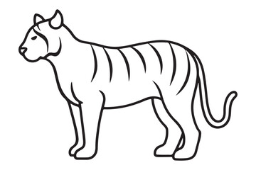 Illustration of a tiger Vector
