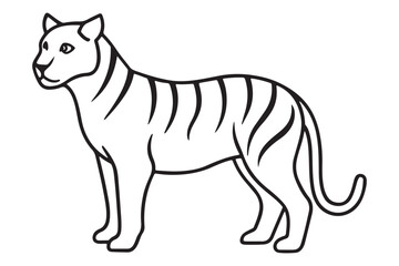 Illustration of a tiger Vector