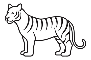 Illustration of a tiger Vector