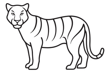 Illustration of a tiger Vector