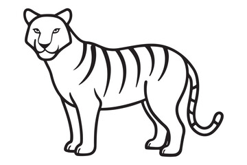 Illustration of a tiger Vector