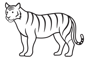 Illustration of a tiger Vector