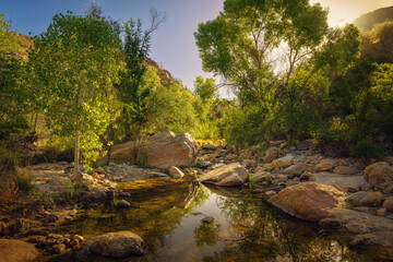 Scenic view of a peaceful creek surrounded by lush greenery and large boulders under soft sunlight, showcasing nature's beauty and tranquility.